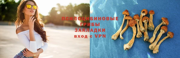 амф Заволжск