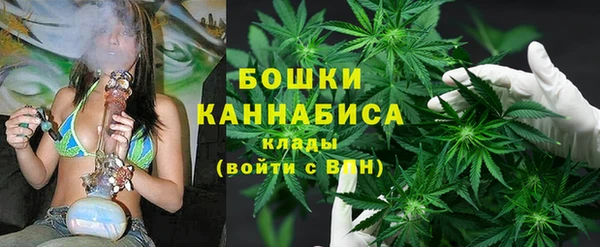 ALPHA PVP Заводоуковск