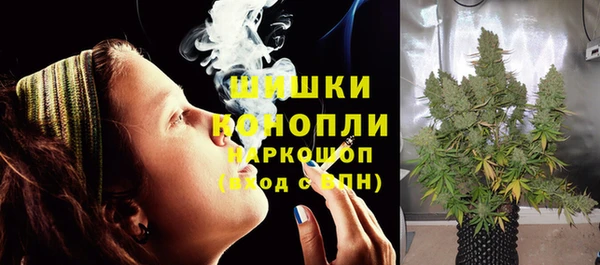 МДПВ Ельня