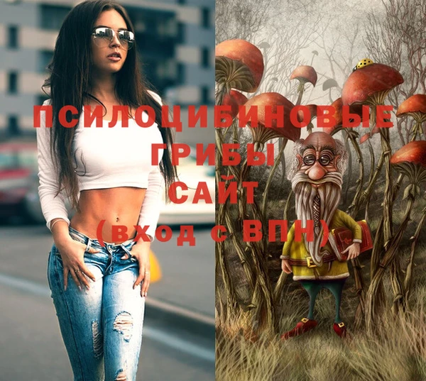 ALPHA PVP Заводоуковск