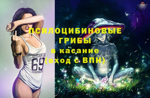 ALPHA PVP Заводоуковск